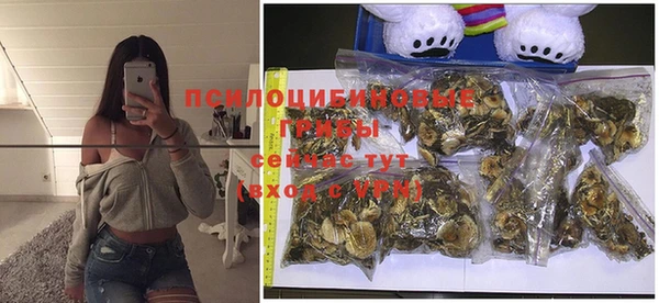 не бодяженный Абинск