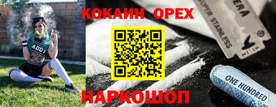 соль ск Новозыбков