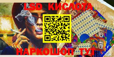 стаф Новодвинск
