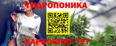 стаф Новодвинск