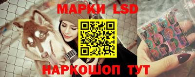 соль ск Новозыбков