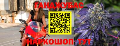 стаф Новодвинск