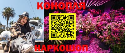 стаф Новодвинск