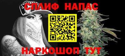соль ск Новозыбков
