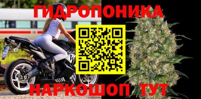 соль ск Новозыбков