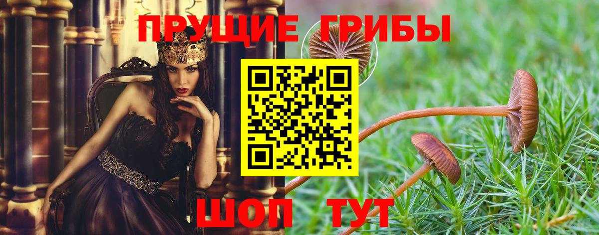 Алапаевск  Псилоцибиновые грибы прущие грибы  Вход с VPN 